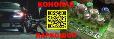 прущие грибы Гусь-Хрустальный