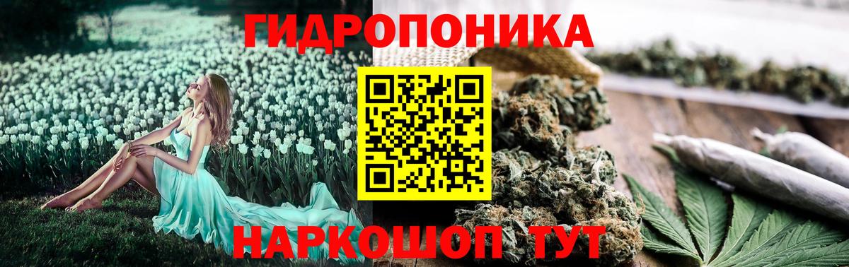 Бошки марихуана Bruce Banner Кизилюрт